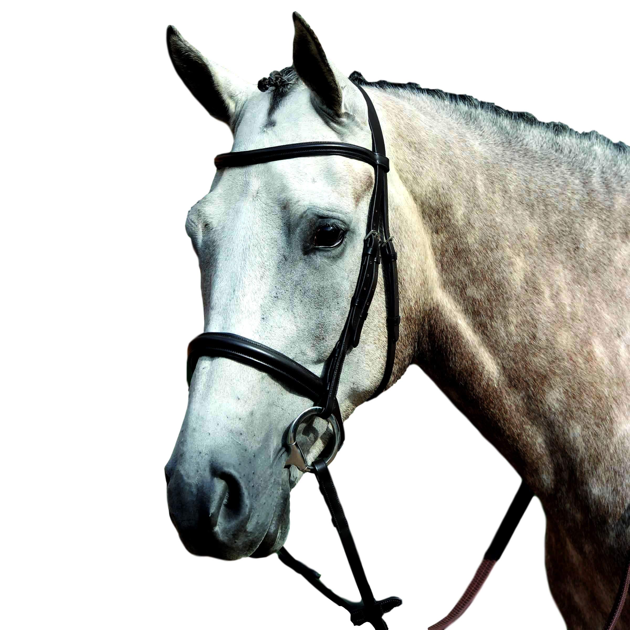 Premium Pony Padded Raised Cavesson Bridle - Comfortable Brown Leather Horse Bridle for Training & Riding | Ideal for Equestrian, Dressage & Show Jumping