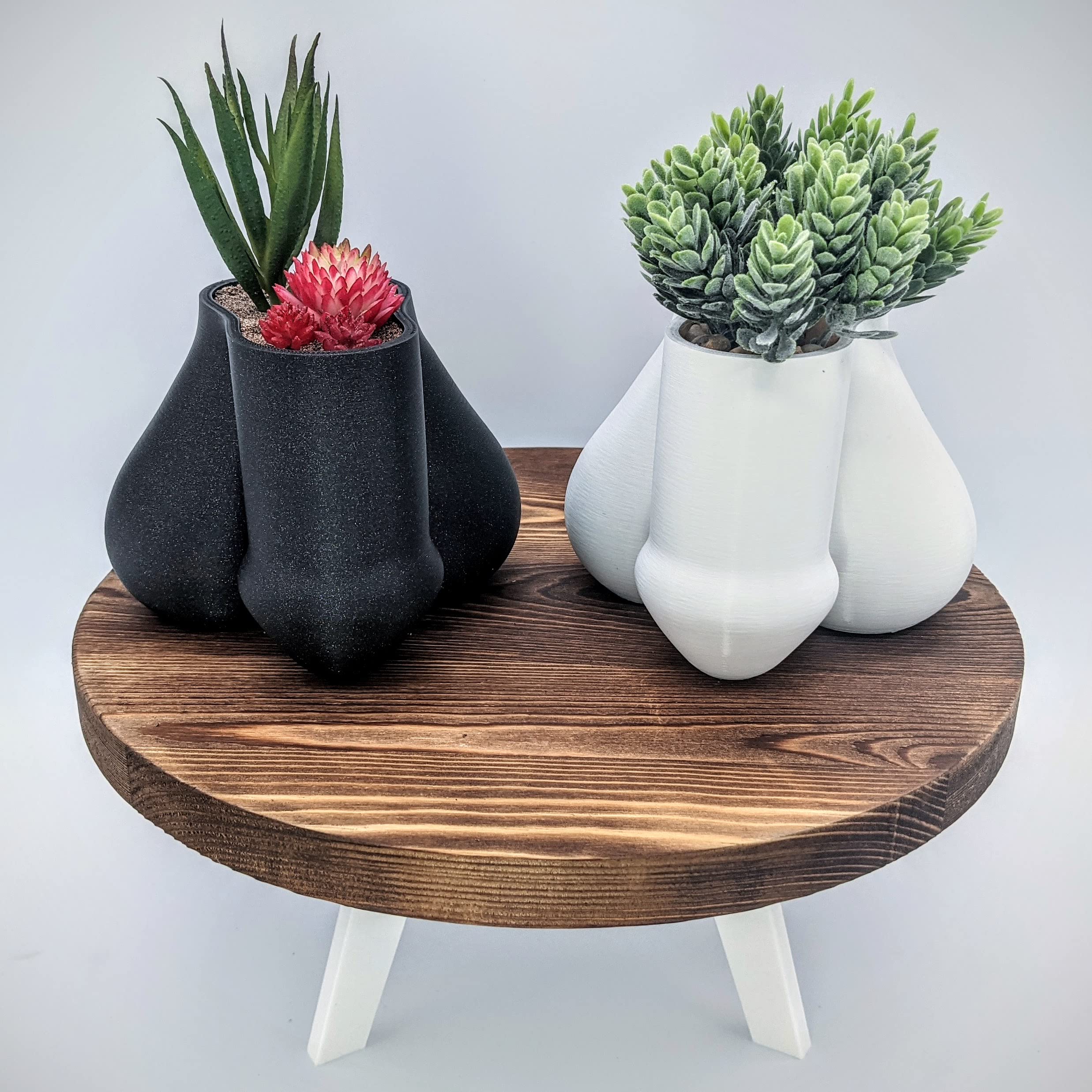 Sparkle Black Succulent Penis Planter Pot - Male Body Anatomy Planter with Balls - Unique Stylish Home & Office Decor for Succulents, Air Plants or Small Flowers - Funny Gift for Bachelor Parties, Adult Humor Gifts