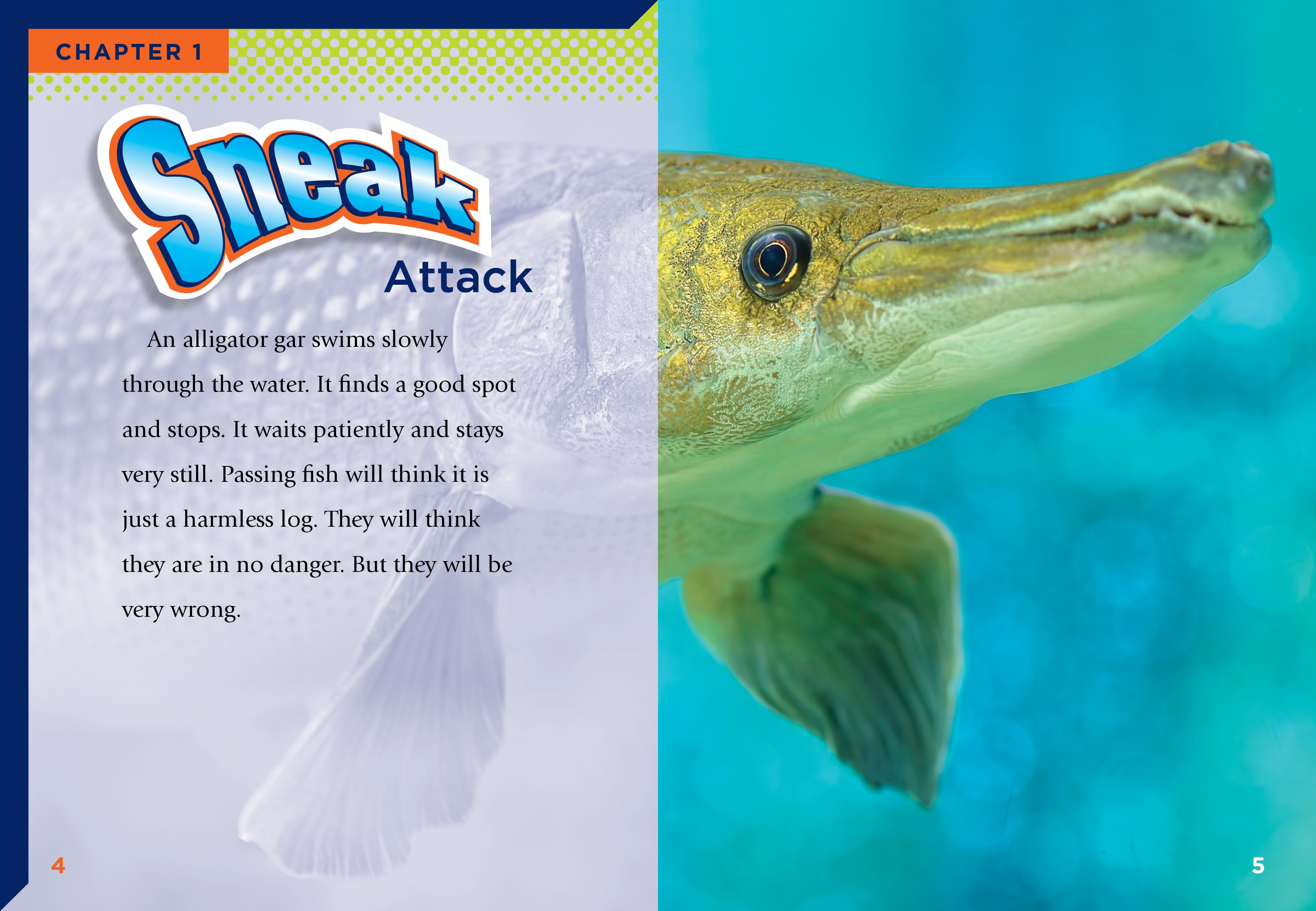 Alligator Gar Book 9781623109110 - Learn About the Fascinating Fish Species for Fishing Enthusiasts & Aquatic Life Lovers