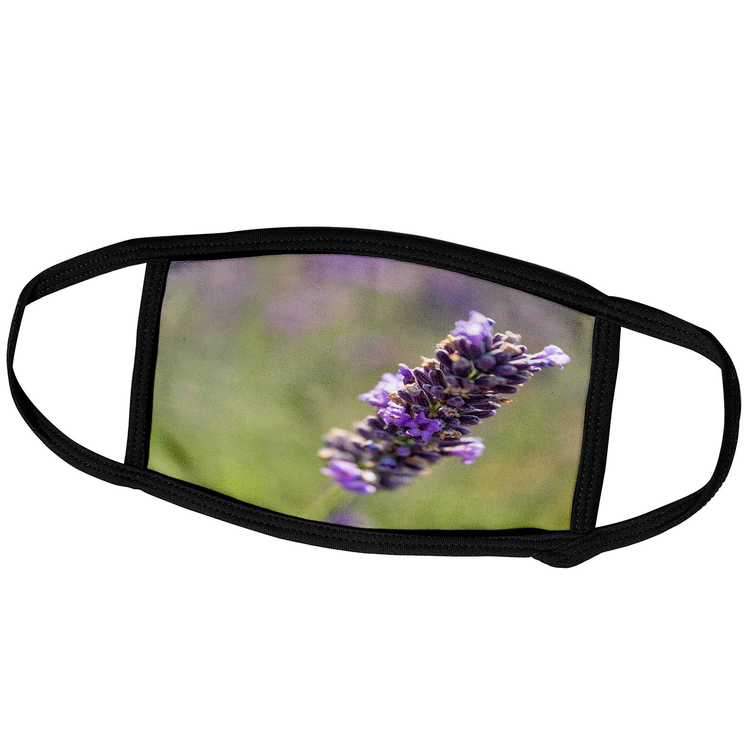 3D Rose Lavender Bloom in Valensole Plain, Provence, Southern France - Reusable Cotton Face Masks (Pack of 2) for Women & Men - Breathable Fashion Mask for Travel, Work, and Daily Protection