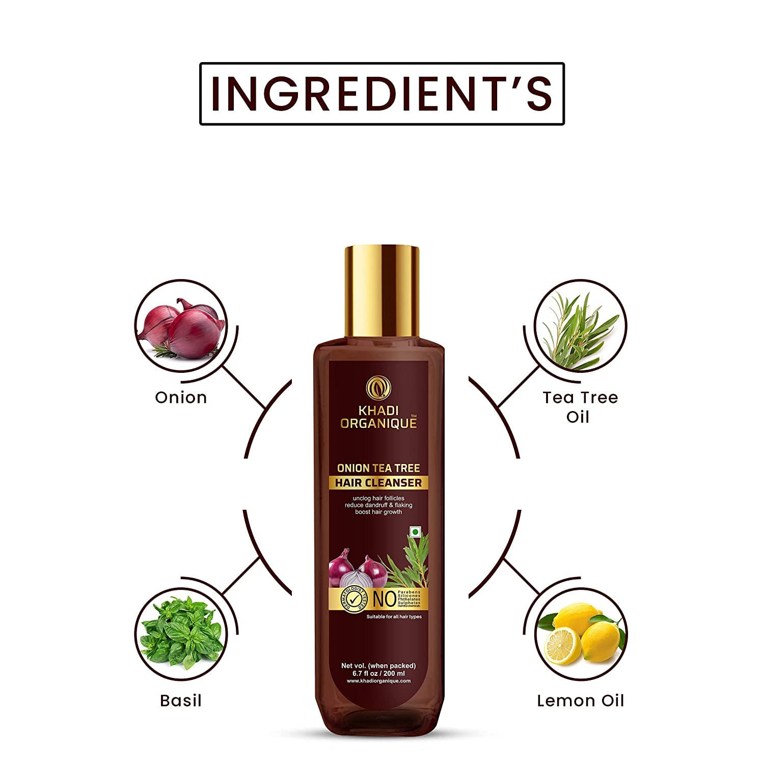 Organique Onion Tea Tree Shampoo for Dandruff Control & Hair Fall Prevention - Paraben Free, Silicone Free 200ml | Gentle Cleanser for Dry Scalp & Thinning Hair Care