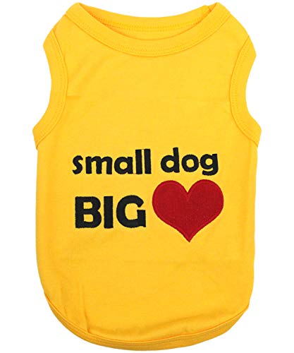 Small Dog Big Heart
