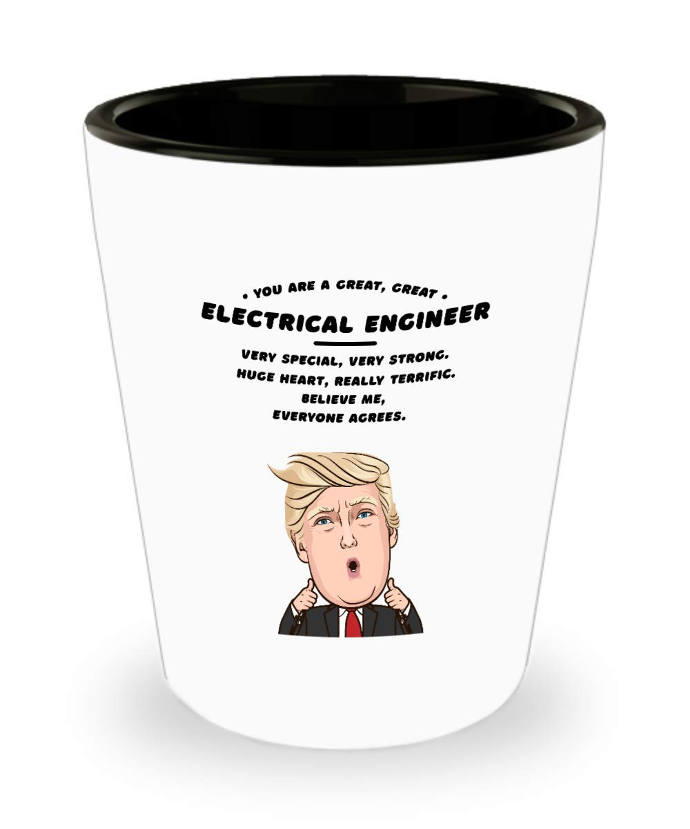 Funny Christmas & Birthday Gifts for Electrical Engineers - Unique & Hilarious Present Ideas for Men - Perfect for Office Decor, White Elephant Gifts & Friend Surprises