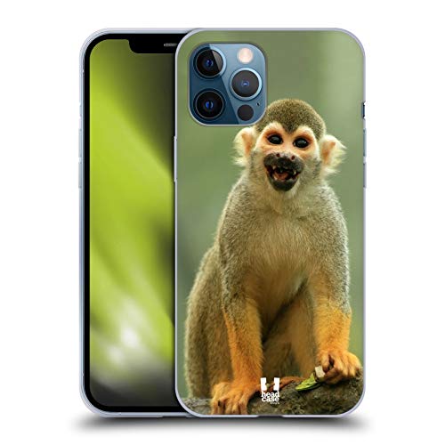 Common Squirrel Monkey