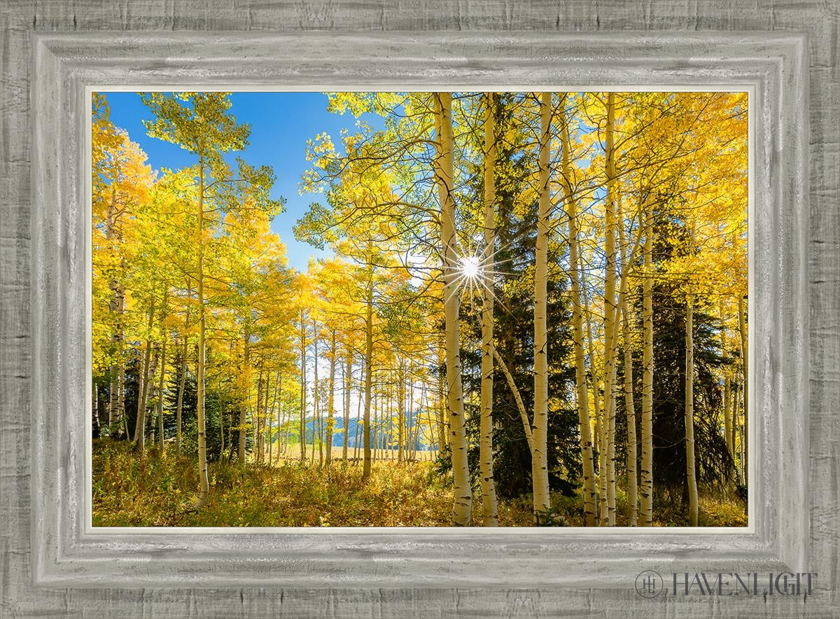 Autumn in the Rocky Mountains - Stunning Fall Foliage at Wasatch National Forest Utah | Perfect for Hiking, Photography & Nature Exploration