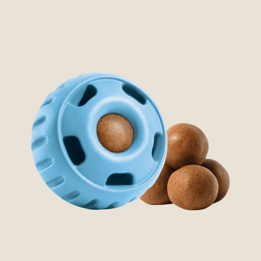 Blue Pupsicle Dog Toy - Durable Chew Toy for Puppies & Dogs - Fun Interactive Treat Dispenser for Indoor & Outdoor Play