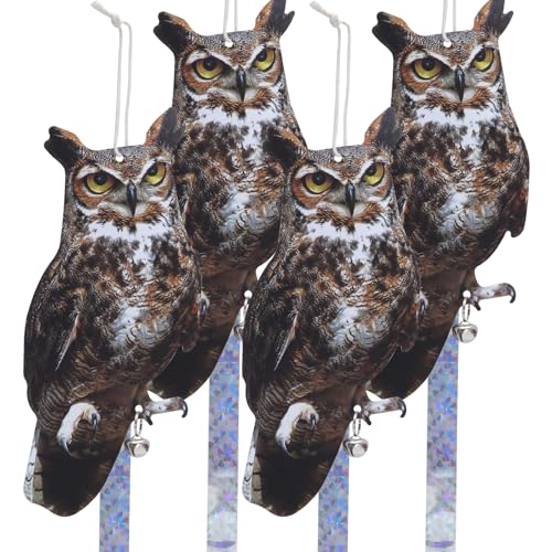 Mighty Hawks 4pcs