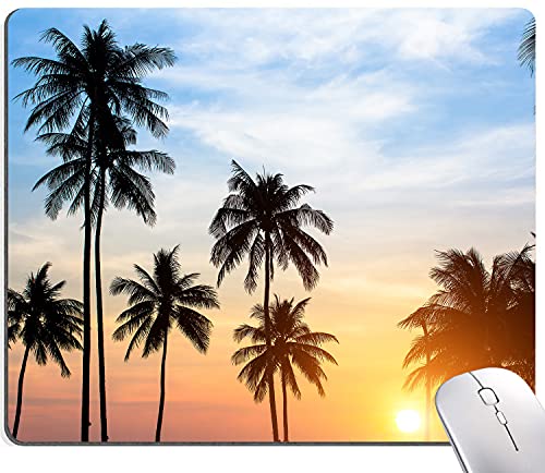 Silhouettes of Palm Trees Against the Sky During a Tropical Sunset