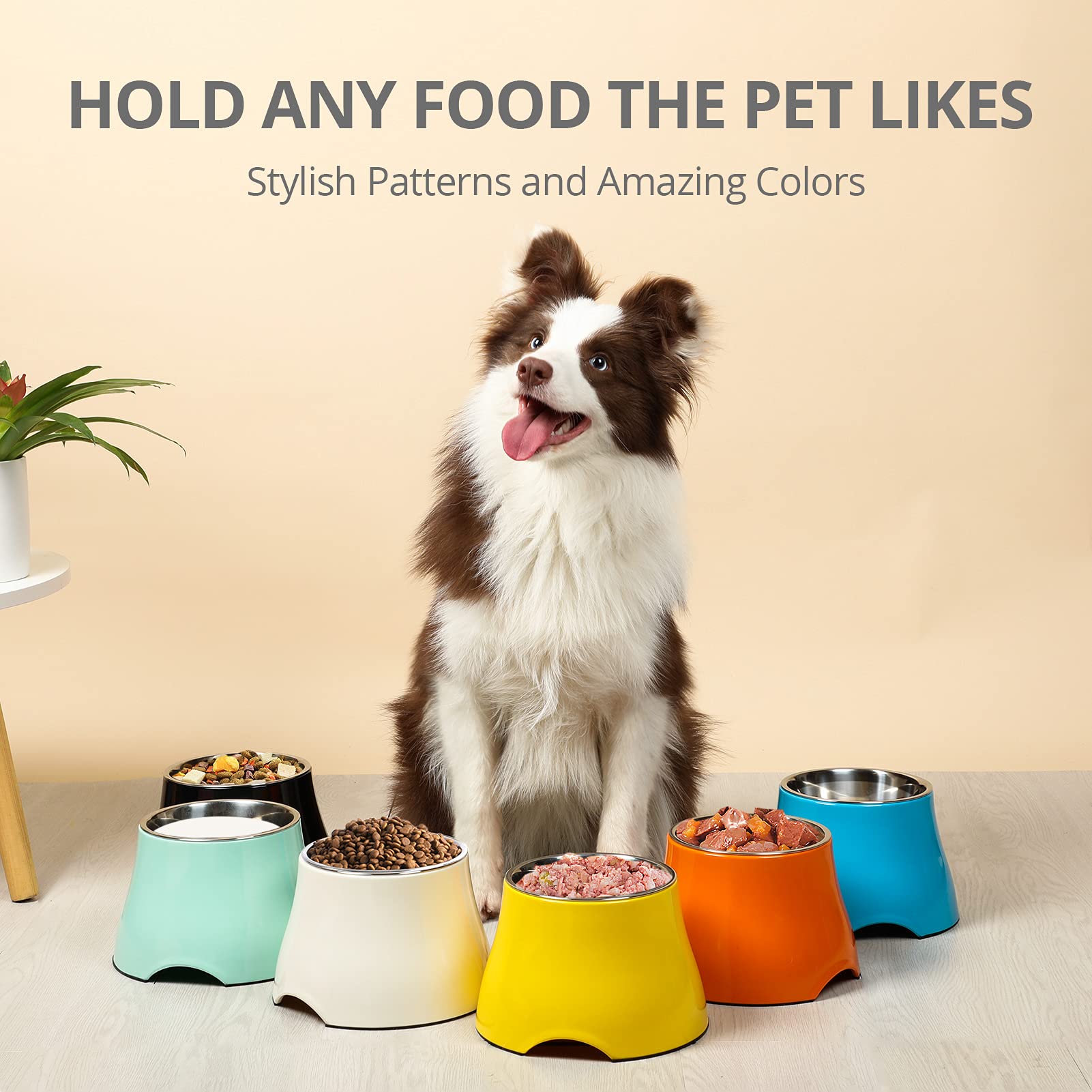 Yoken Elevated Dog Bowls - Non-Slip Stainless Steel Raised Dog Food Bowls for Small & Medium Dogs - Prevents Neck Strain & Improves Digestion - Perfect for Home, Kitchen or Outdoor Use