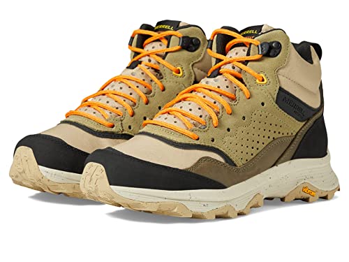 Clay/Olive