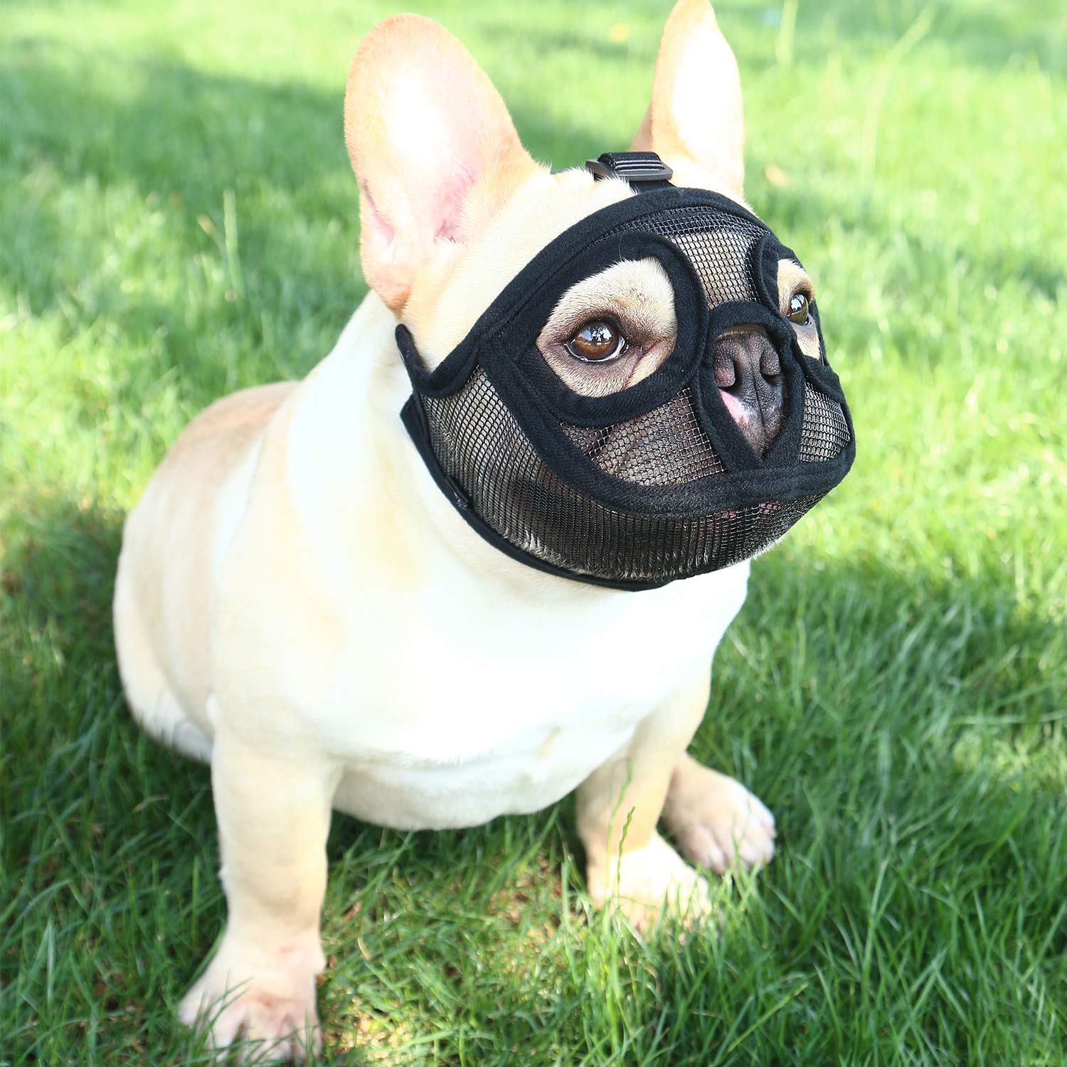 **TANDD Adjustable Breathable Mesh Dog Muzzle for Bulldogs & Short Snout Breeds – Anti-Biting, Barking & Chewing Training – Perfect for Walks, Grooming & Vet Visits**