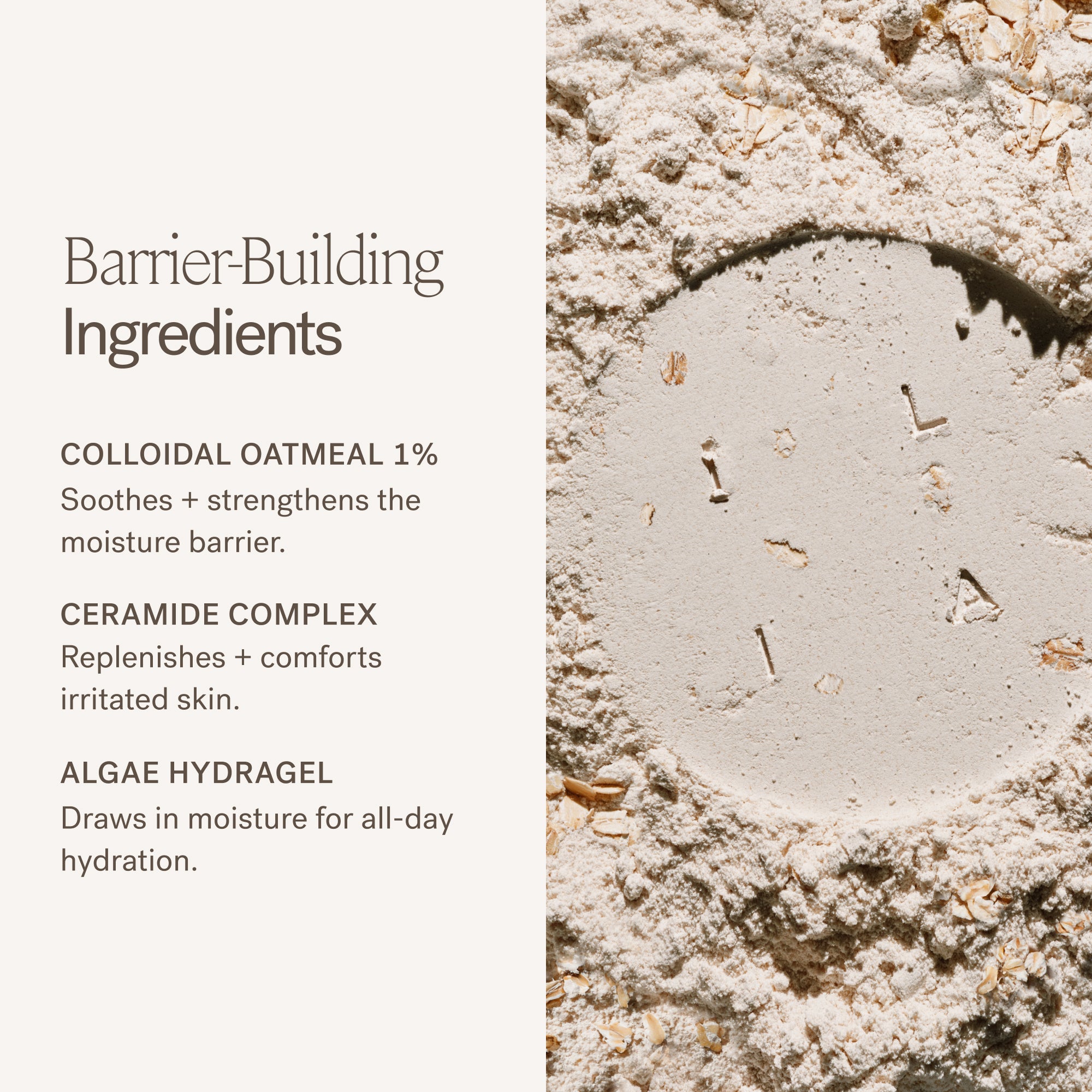 Barrier Build Skin Protectant Cream for Eczema & Dry Skin Relief - Dermatologist Recommended Moisturizing Lotion for Sensitive Skin Care - Ideal for Daily Use, After Shower & Nighttime Hydration
