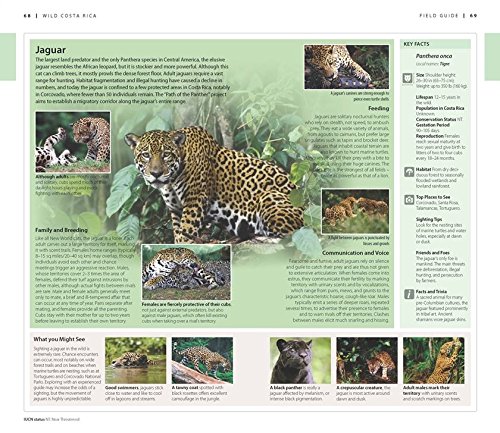 DK Eyewitness Travel Guide: Costa Rica - Best Travel Book for Costa Rica Vacations | Explore Beaches, Rainforests & Wildlife | Perfect for Tourists & Adventure Seekers