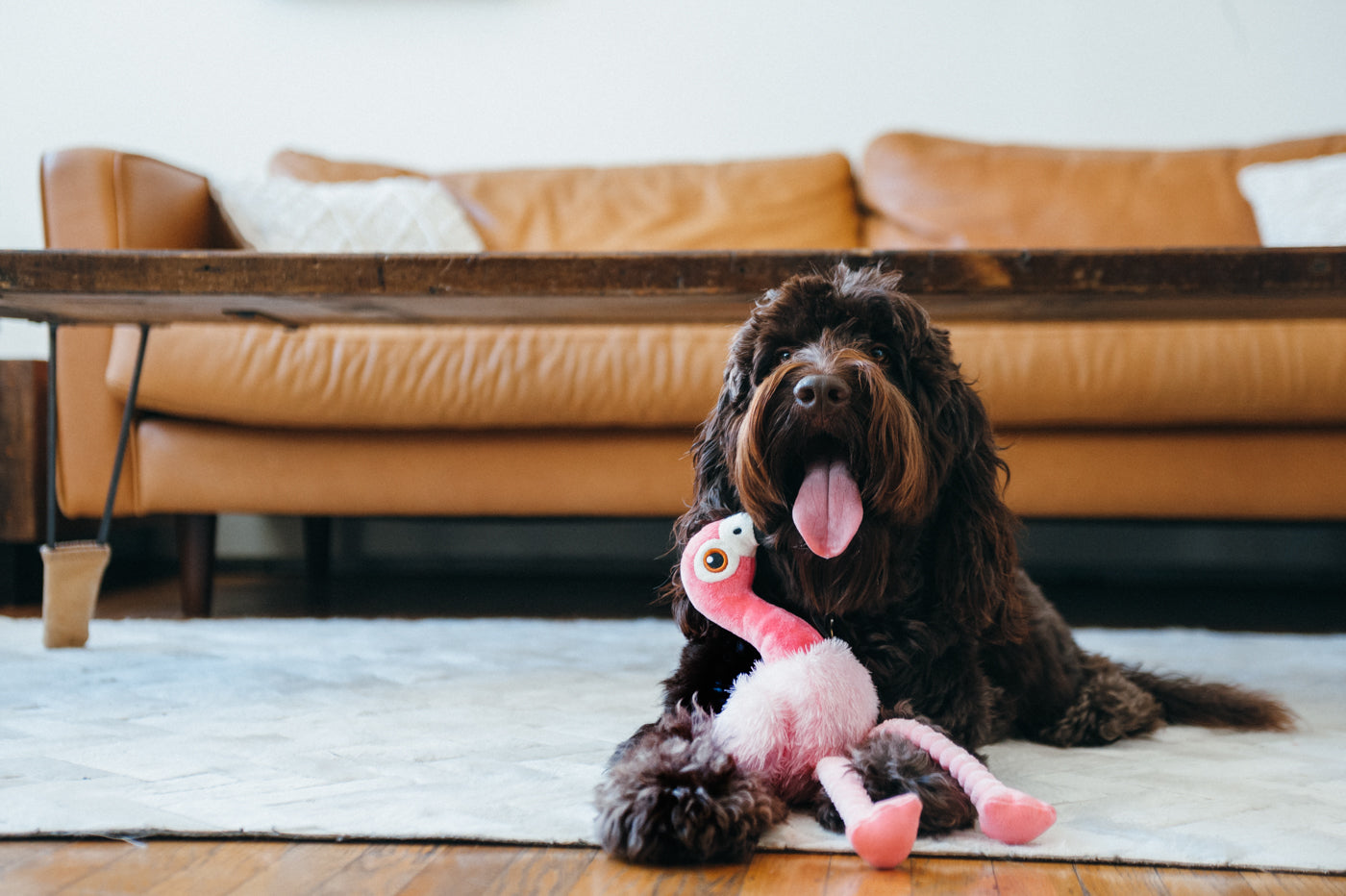 Flora the Flamingo Plush Dog Toy - Soft & Durable Fetching Flock™ Chew Toy for Small & Medium Dogs | Perfect for Playtime, Training & Cuddling | Pet P.L.A.Y.