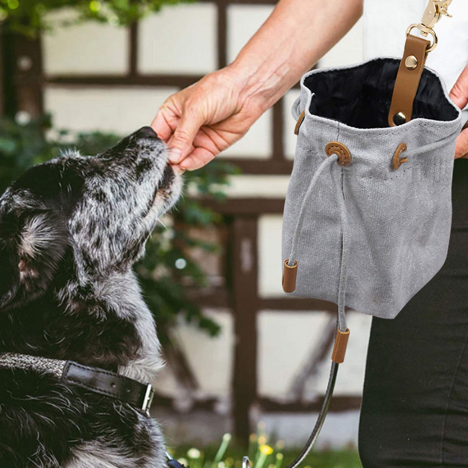 Portable Dog Treat Pouch for Training - Hands-Free Dog Leash Treat Bag with Clip - Snack Storage Holder for Walks & Outdoor Adventures (Green)