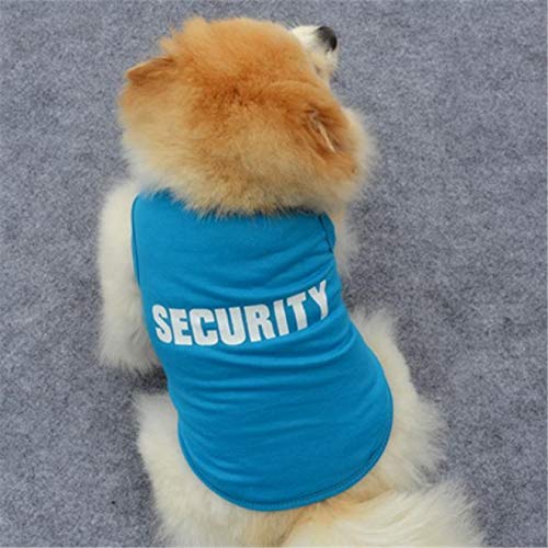 Stylish Small Dog Hoodies & Cute Printed Pet T-Shirts - Fashionable Puppy Sweatshirts for Cats & Dogs - Perfect for Halloween Costumes & Daily Wear