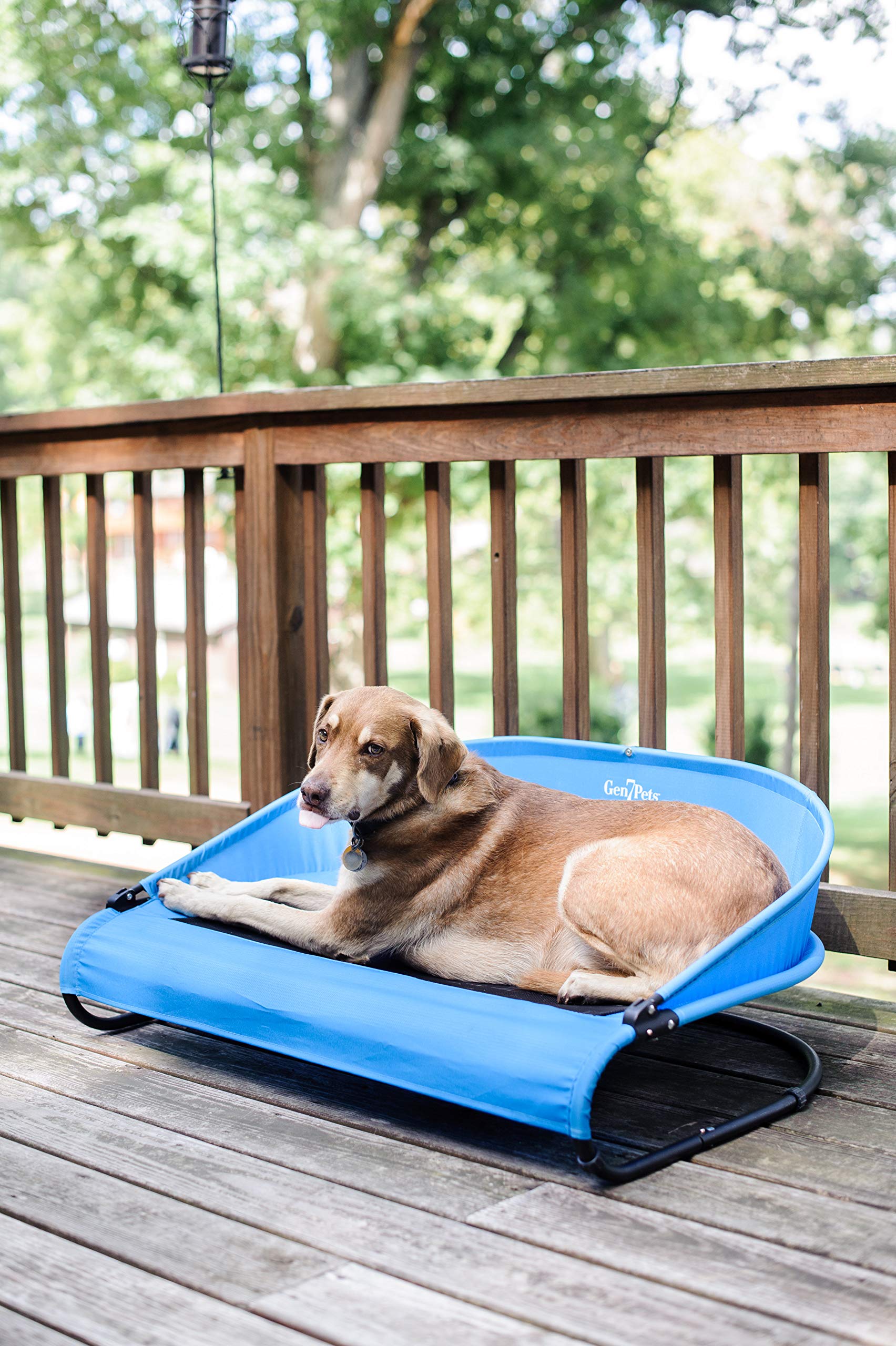 Gen7Pets Trailblazer Cool-Air Elevated Dog Bed - Large Size for Medium to Large Dogs - Perfect for Outdoor Adventures, Camping & Hot Weather Use
