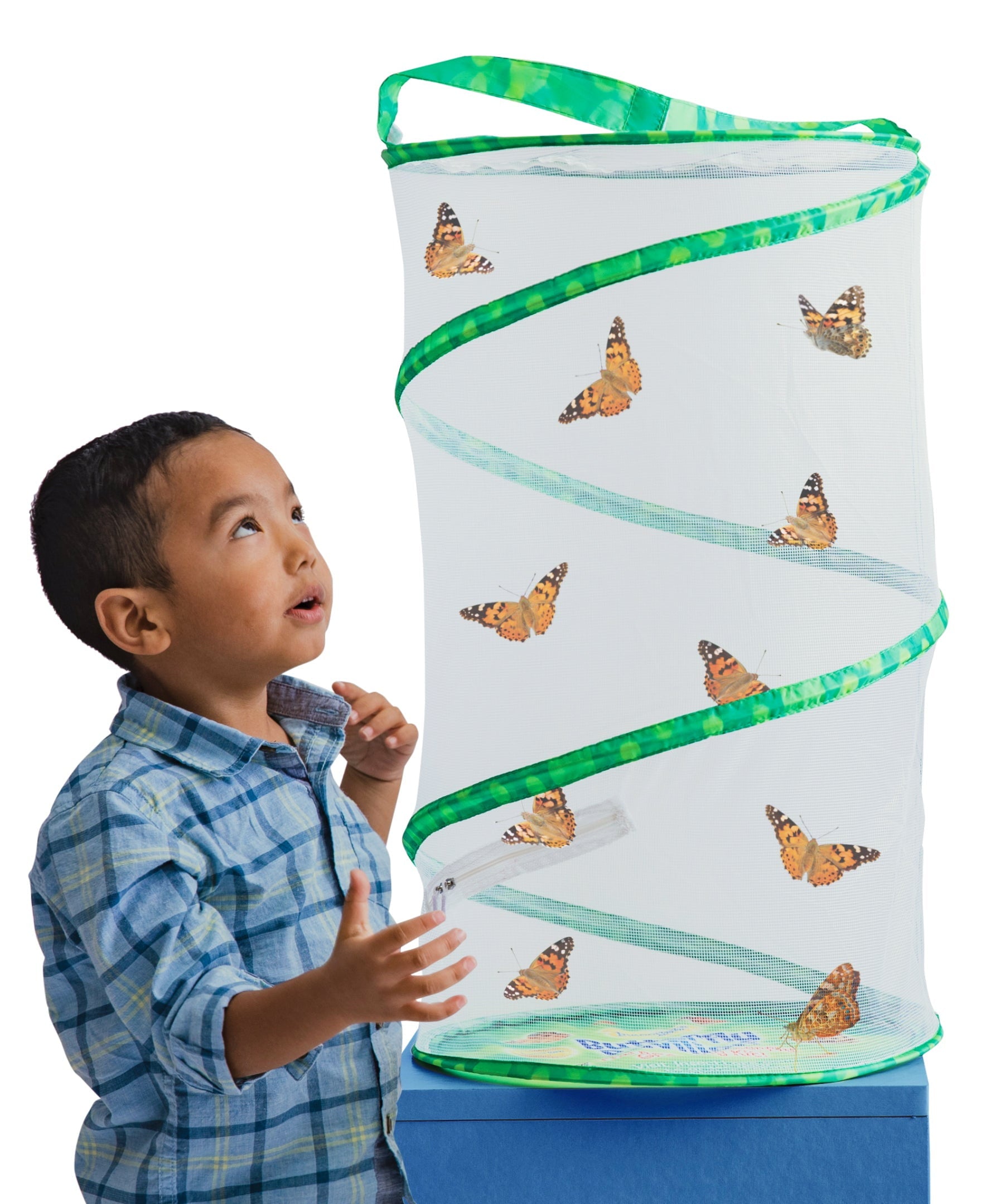 Insect Lore Butterfly Pavilion Deluxe School Kit with 33 LIVE Caterpillars - STEM Educational Science Project for Kids, Classroom & Homeschool Learning - Observe Butterfly Life Cycle Transformation