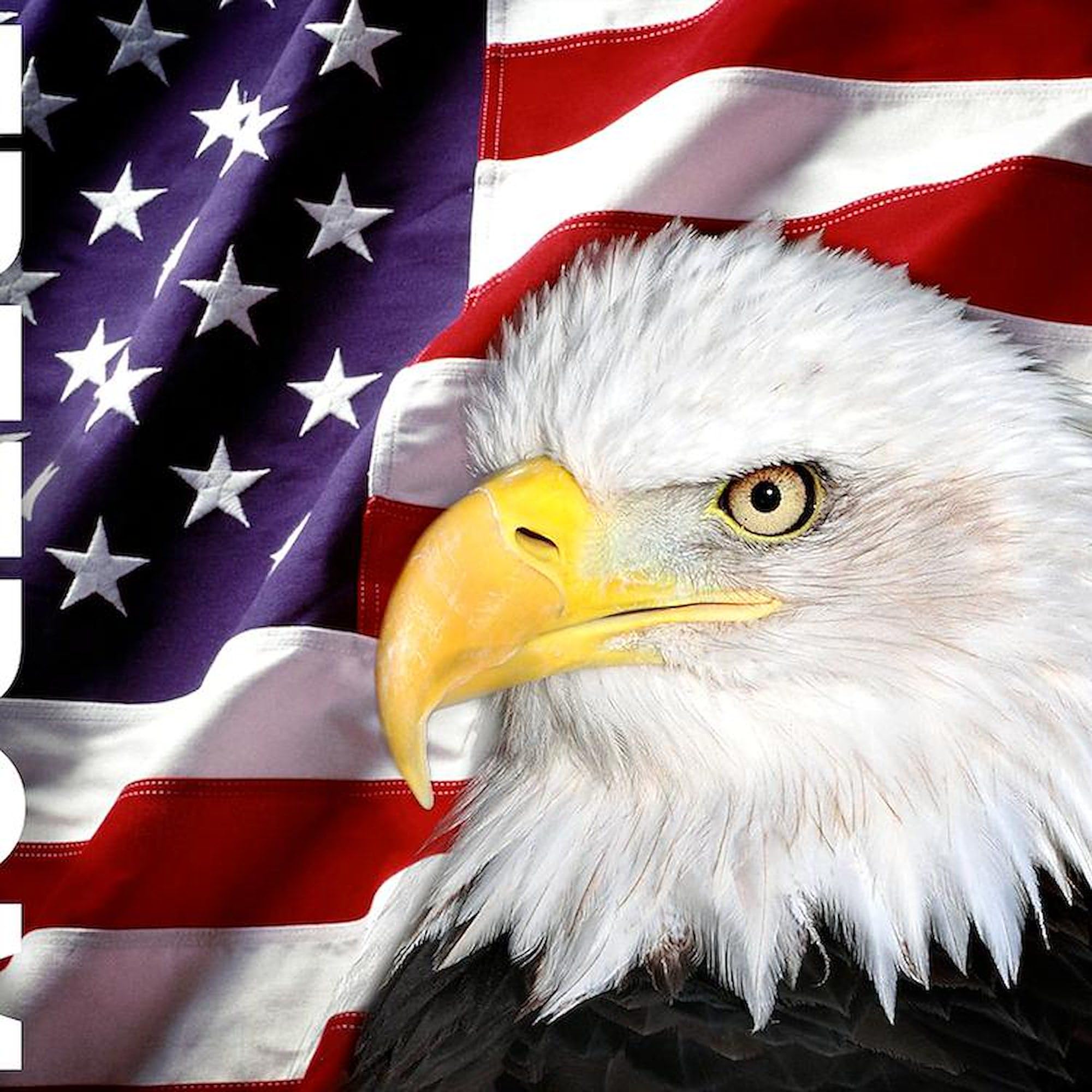 Freedom Flag & Eagle 3x3 Inch Square Car Magnet - Patriotic Bumper Sticker for Cars, Trucks & Vehicles | USA Pride Decoration for Tailgating, Parades & American Holidays