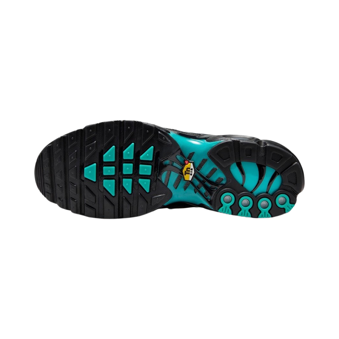Nike Air Max Plus TN Caribbean Summit White Black Blue Running Shoes - Men's Athletic Sneakers for Gym, Workout & Casual Wear