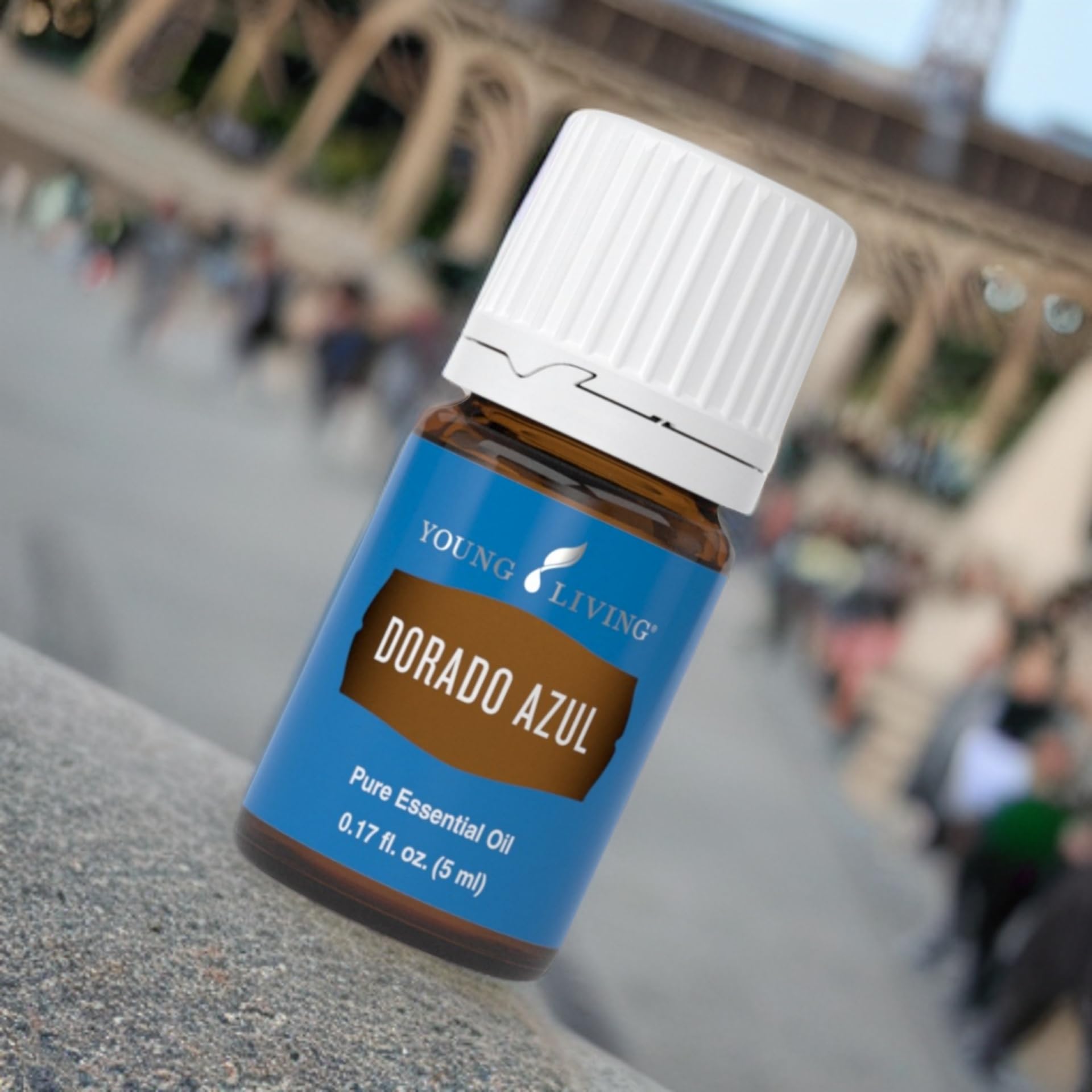 Young Living Essential Oils Dorado Azul Essential Oil 5ml - Pure Therapeutic Grade for Aromatherapy, Relaxation & Stress Relief - Perfect for Diffusers, Massage & DIY Skincare