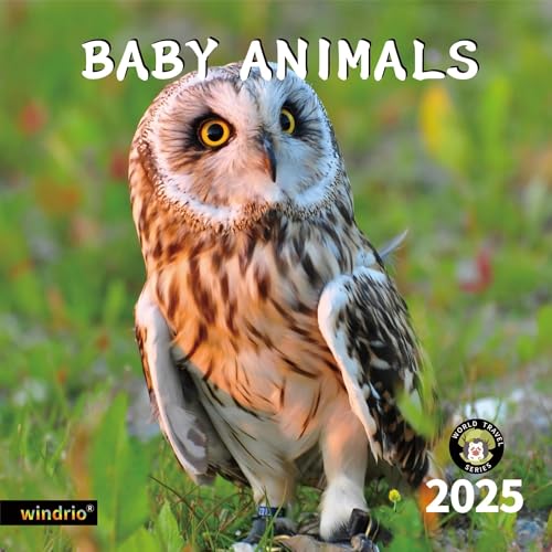 BABY ANIMALS