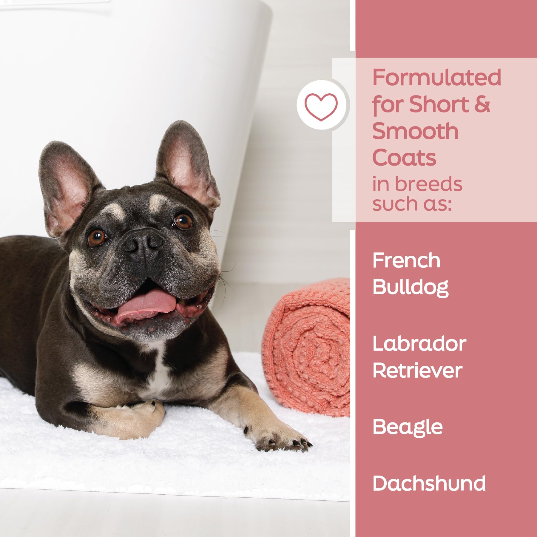 Hartz True Coat Short & Smooth Coat Dog Shampoo - Oat Milk, Coconut Oil & Vitamin E Formula for Soothing & Shining - Gentle Cleansing for Short-Haired Dogs - Perfect for Bath Time & Grooming Sessions