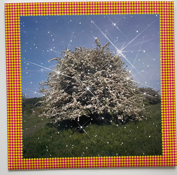 Caribou Honey Vinyl LP - Limited Edition Yellow Pressing (Mint Condition) - Perfect for Record Collectors & Music Enthusiasts
