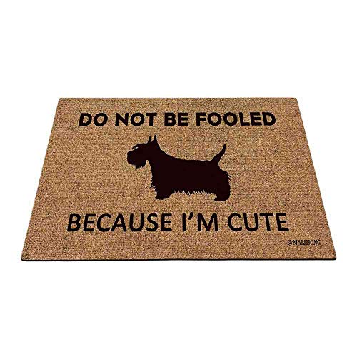 Scottish Terrier-1