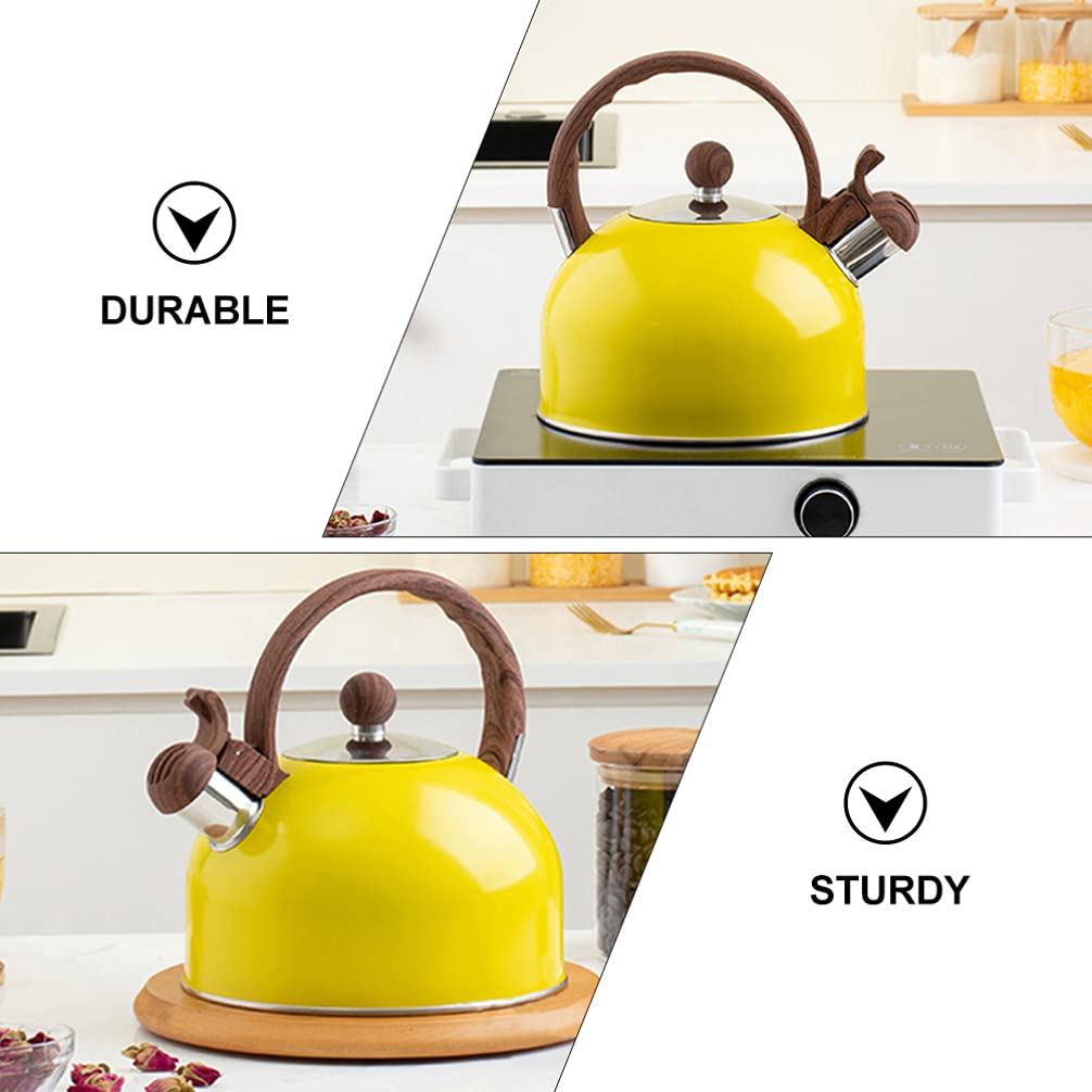 Hemoton 1-Piece Stainless Steel Stovetop Kettle - Camping & Home Use Tea Kettle, Iron Mug for Coffee, Espresso & Travel - Durable & Practical Water Dispenser for Outdoor Adventures & Kitchen Use
