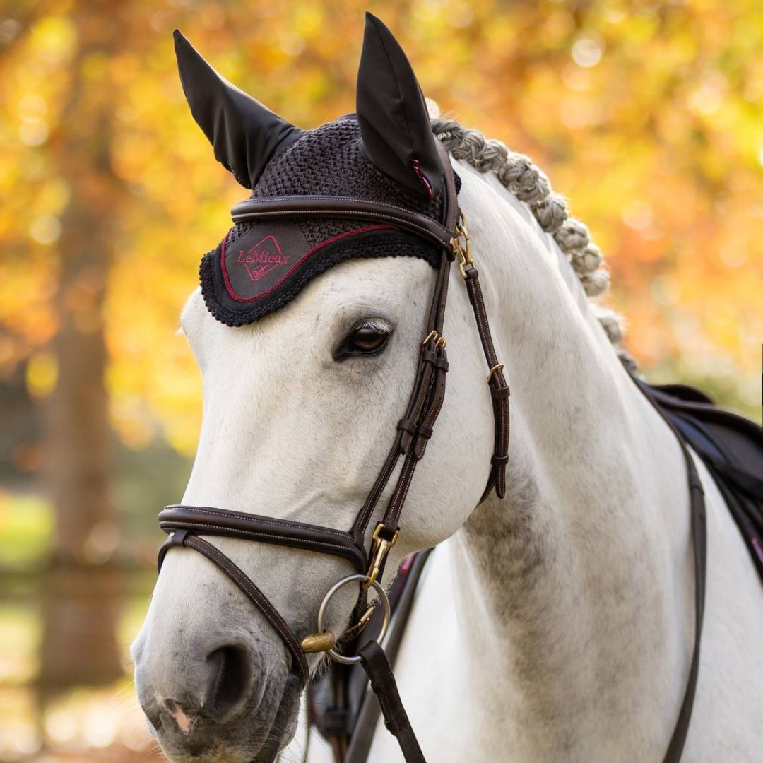 LeMieux Classic Ear Bonnet for Horses - Breathable & Adjustable Fly Protection - Perfect for Riding, Training & Show Jumping