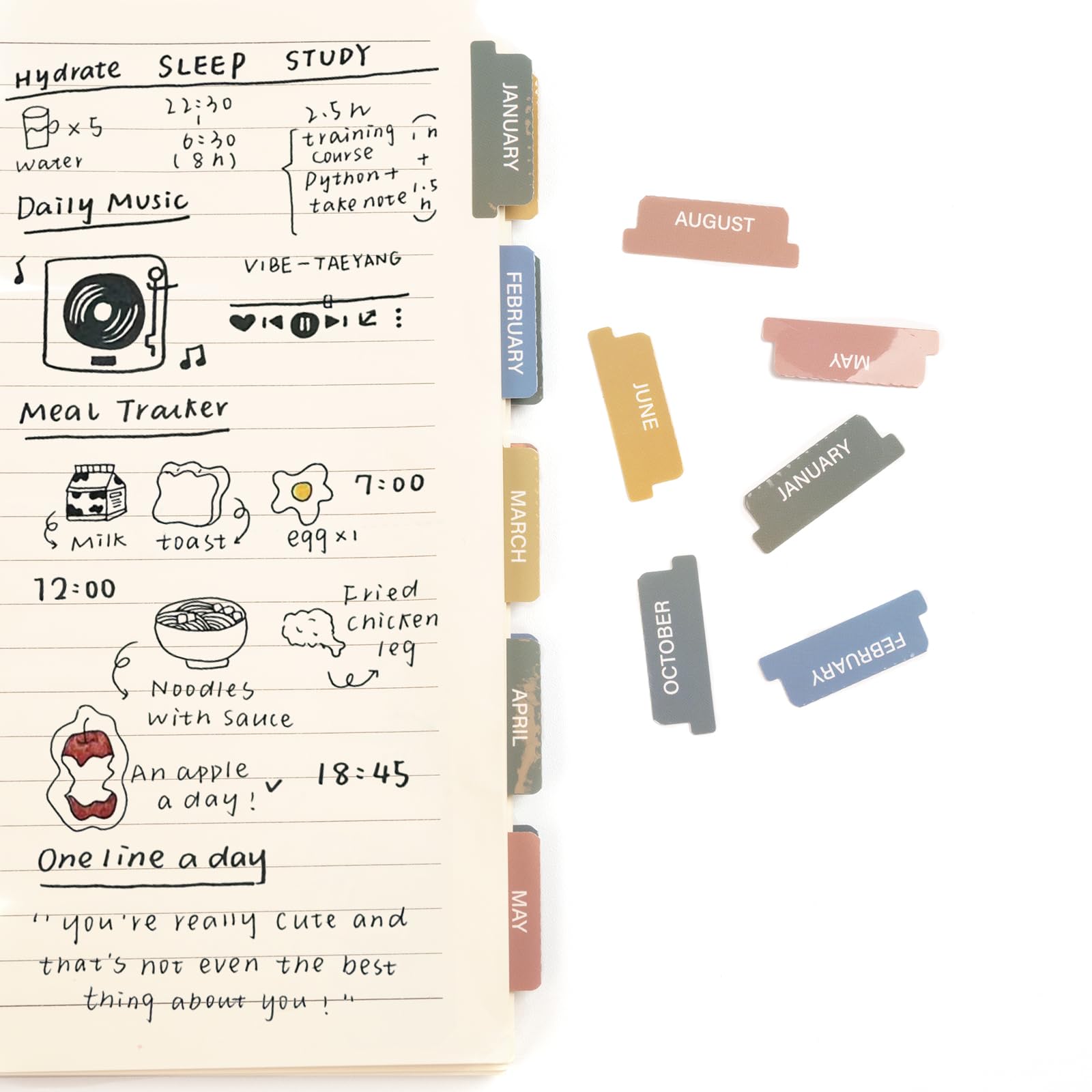 Lumintutu Laminated Planner Monthly Stickers - 40 Adhesive Plan Tabs for Notebooks, Includes 2 Sets (12 Month Tabs + 16 Blank Tabs) - Perfect for Hobonichi 2025 Happy Calendar Inserts, Morandi Color - Ideal for Bullet Journaling, Daily Planning & Office Organization