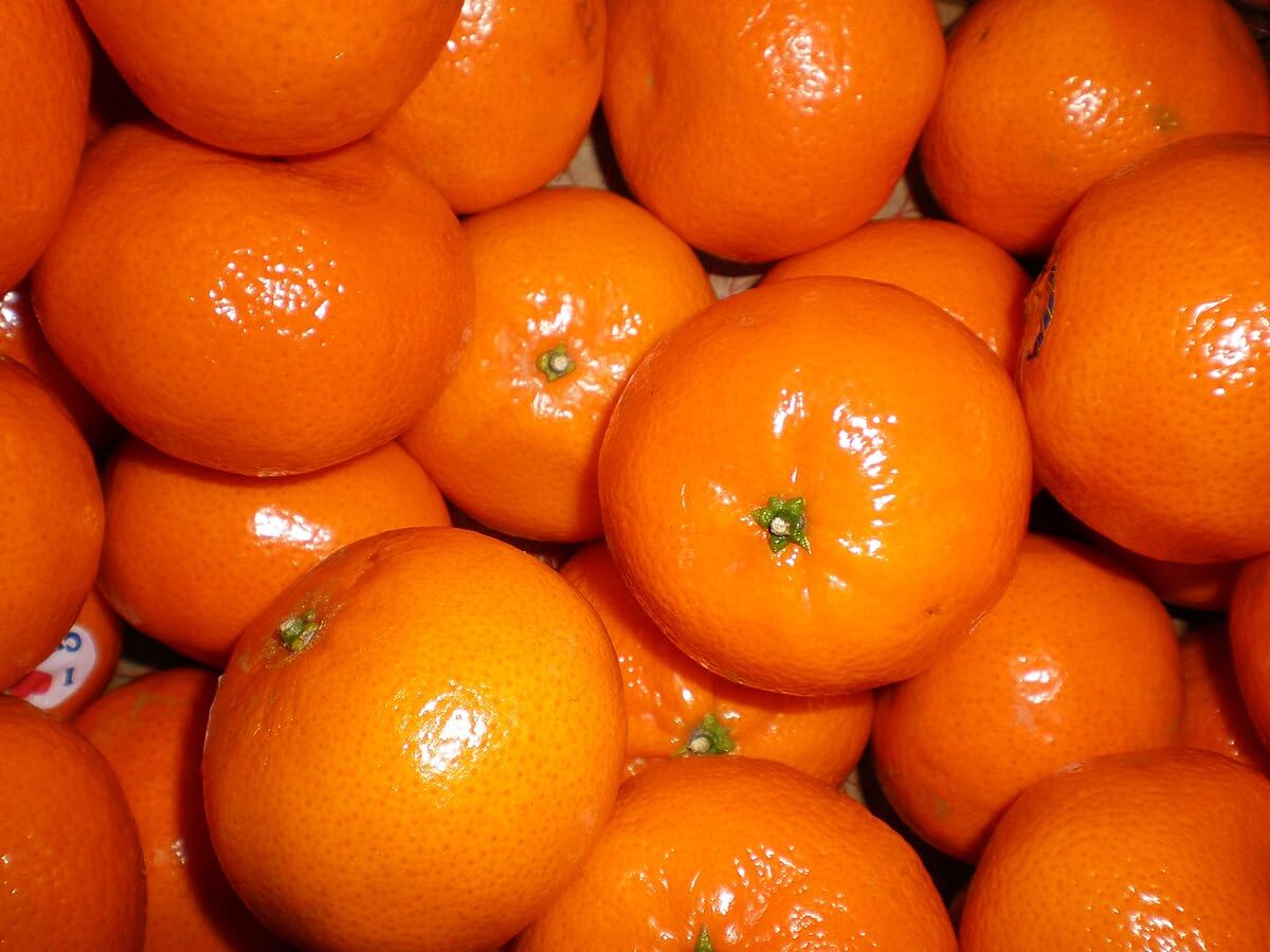 Fresh California Honey Tangerines - 3lb Bag of Whole GMO-Free Citrus Fruits | Perfect for Snacking, Juicing & Healthy Recipes