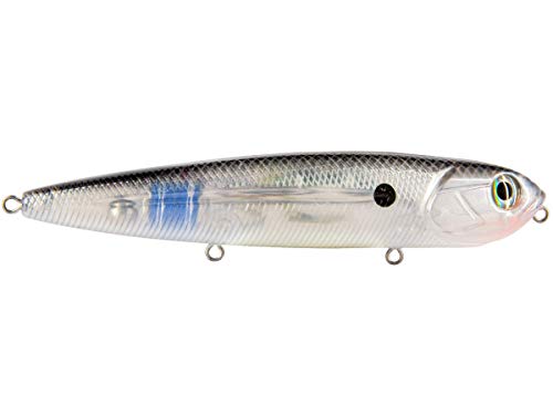Black Silver Shiner