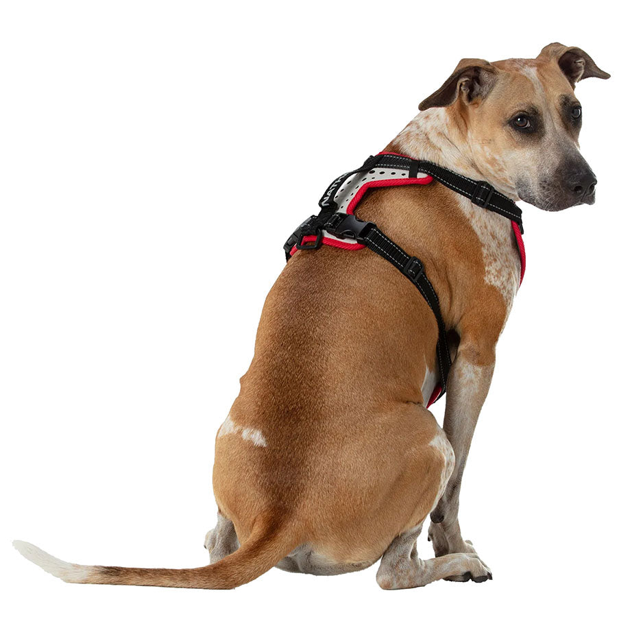 Best No-Pull Dog Harness for Running & Walking - Adjustable Reflective Pet Harness for Small, Medium, Large Dogs - Perfect for Jogging, Hiking & Outdoor Adventures