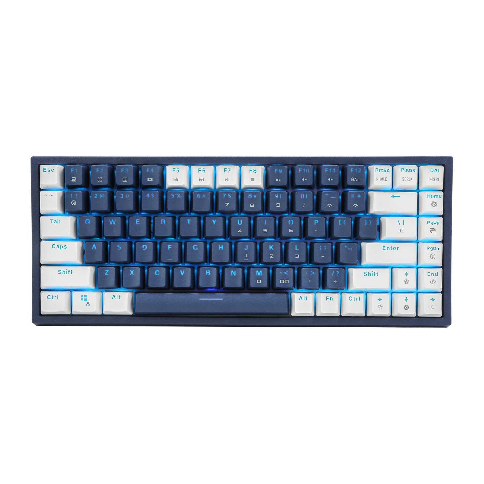 CQ84 84-Key Compact Gaming Mechanical Keyboard with RGB Backlight - Programmable Blue Switch Keyboard for PC, Laptop, Tablet - Blue & White Keycaps - Perfect for Esports, Office Work and Typing Enthusiasts