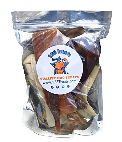 Premium Assorted Natural Dog Chews - 1lb or 2lb Bags | Healthy Dog Treats for Training, Dental Care & Chewing | Grain-Free, High-Protein Dog Snacks for Small, Medium & Large Breeds | Perfect for Puppies, Adult & Senior Dogs - Home, Travel & Outdoor Use