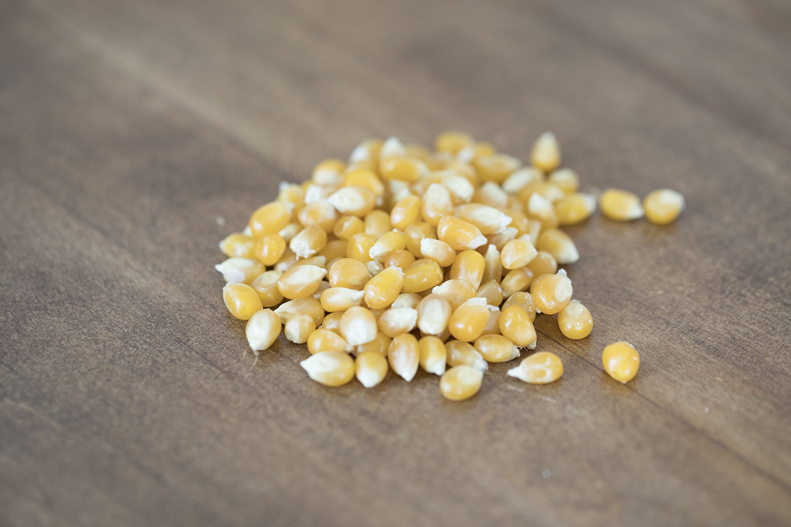 Amish Non-GMO Popcorn Kernels 25lb - Gluten Free Snacks for Movie Nights