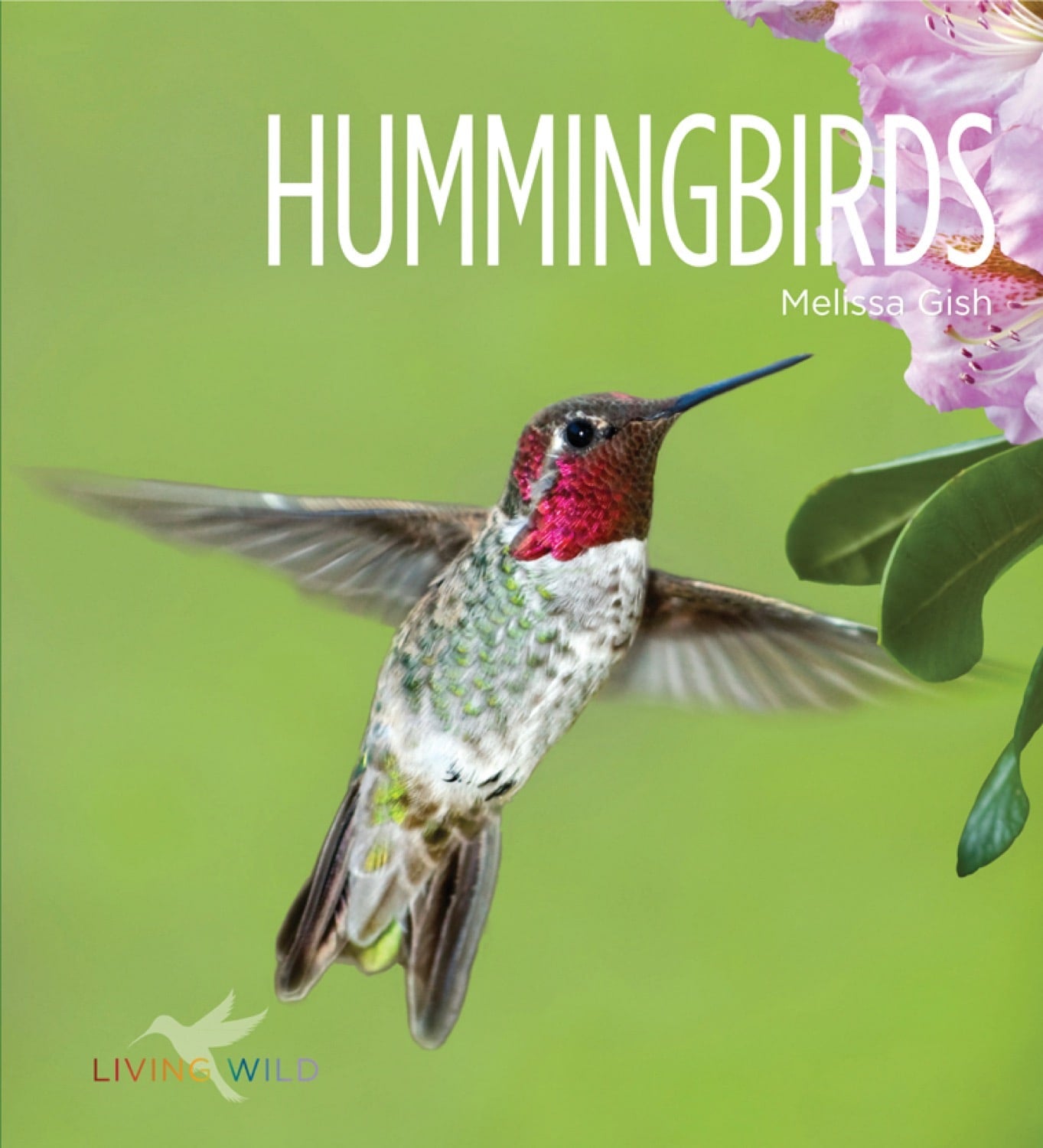 Hummingbirds Book - ISBN 9781608180783 - Perfect for Bird Lovers & Nature Enthusiasts