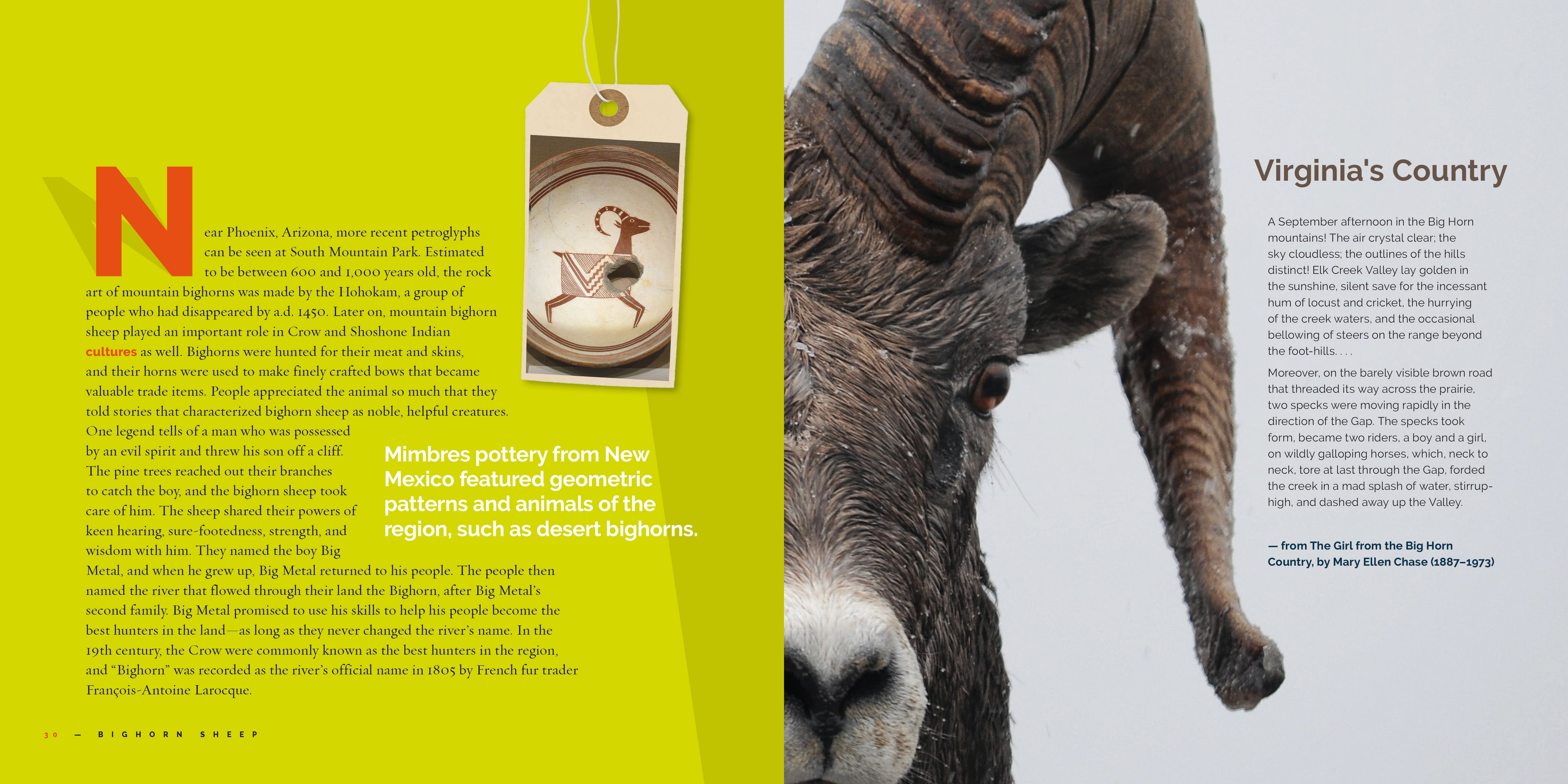 Big Horn Sheep Book 9781640267732 - Wildlife Education & Nature Exploration for Kids & Adults