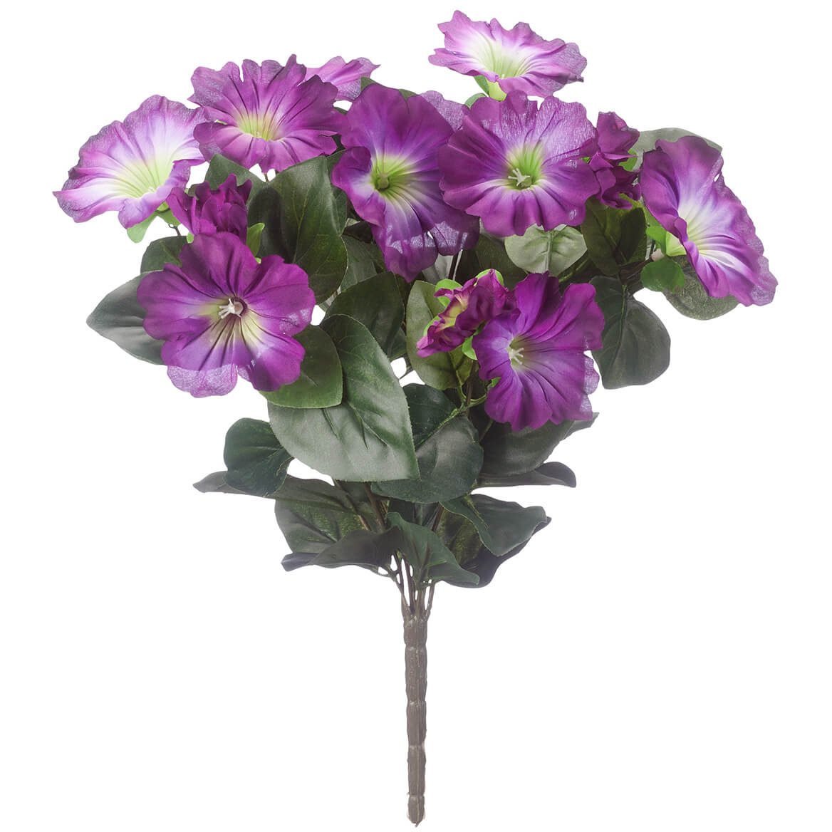 OakRidge Purple Petunia Bush - Outdoor Flowering Plant for Garden Beds, Borders & Container Gardening