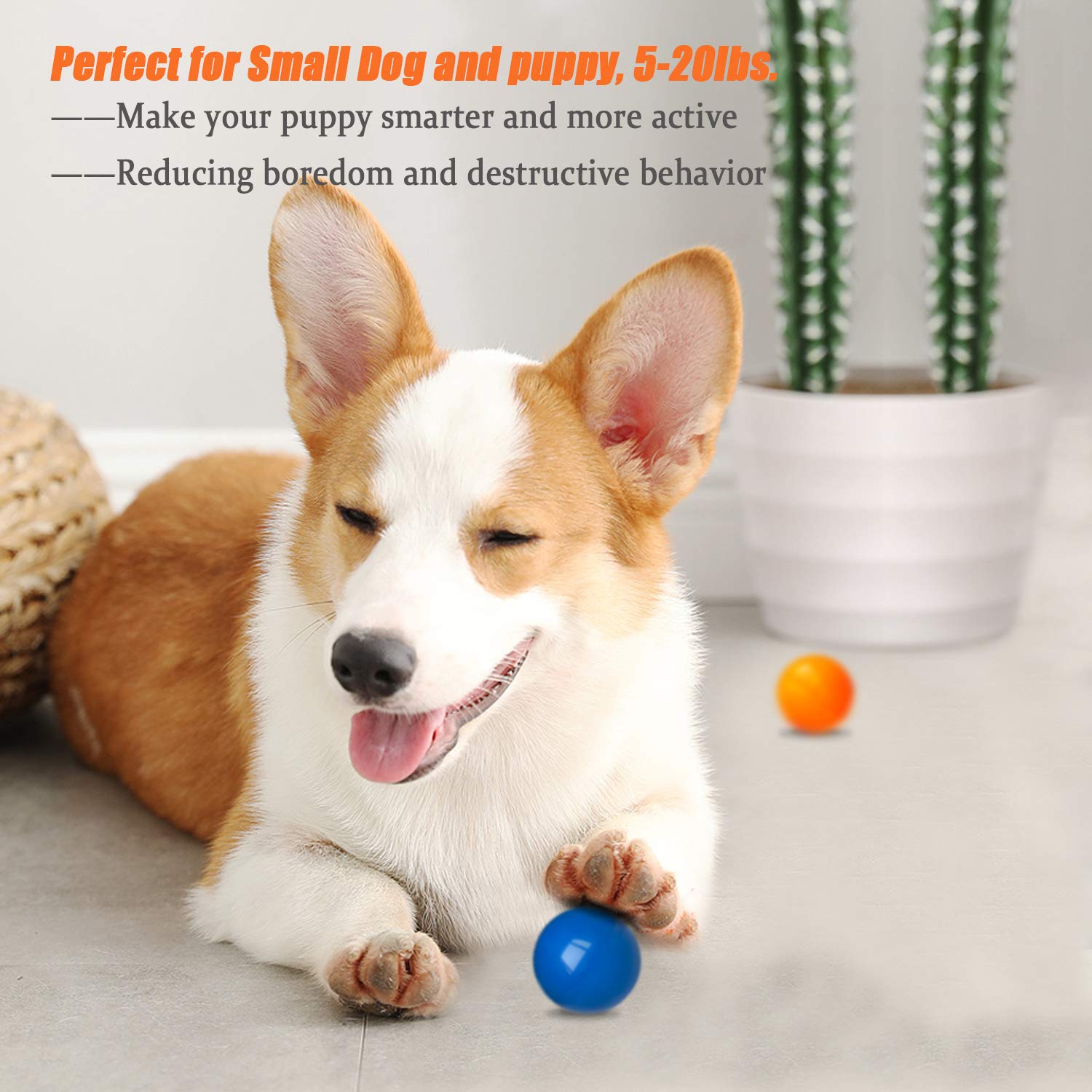 Durable Puppy Chew Toys - Safe Rubber Balls for Teething Dogs | Fetch & Play