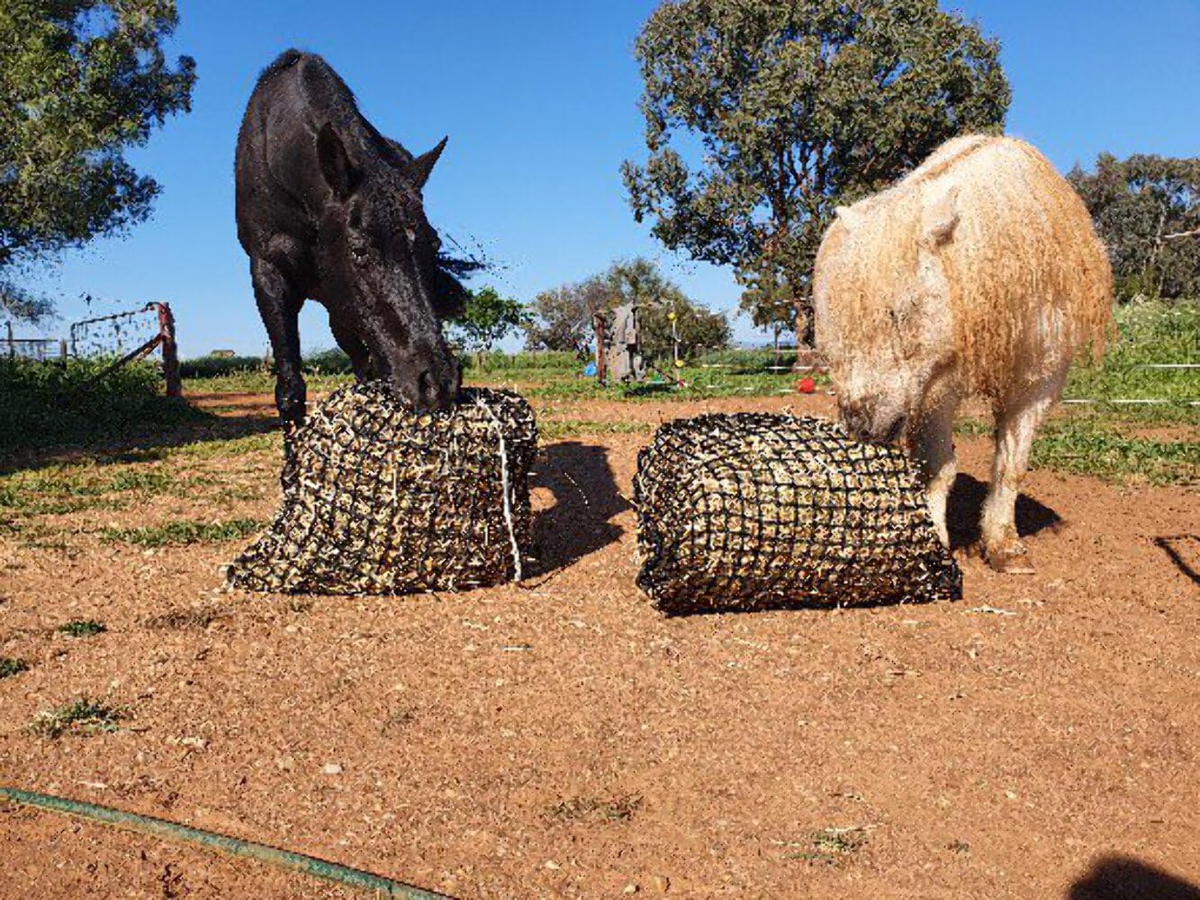 Medium Knotless Slow Feed Hay Net 3/4