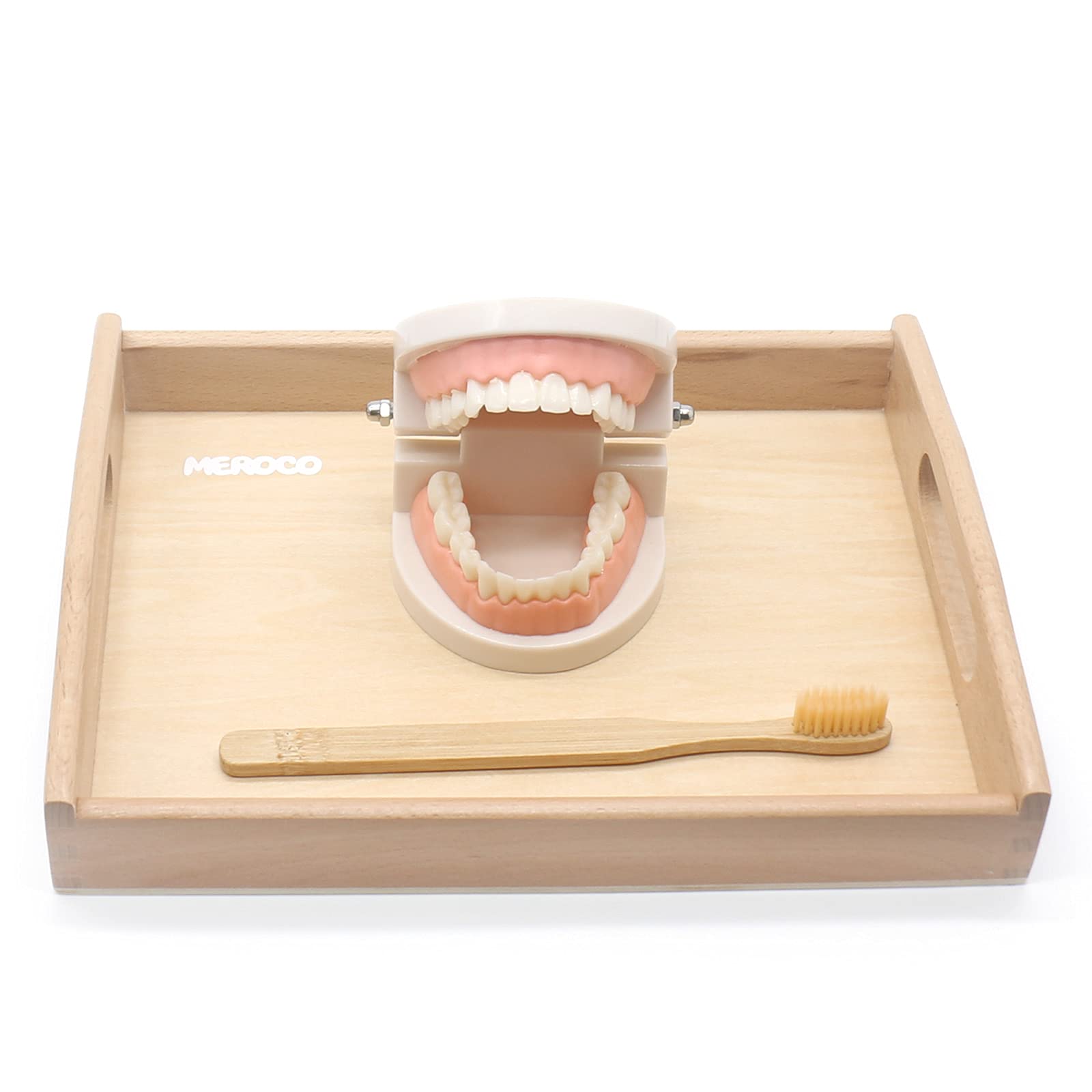 Montessori Practical Life Brushing Teeth Model & Cards - Wooden Dental Hygiene Learning Toy for Toddlers & Preschoolers - Homeschool & Classroom Educational Activity for Kids - Perfect for Teaching Oral Care Habits
