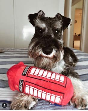 PetLondon British Red Telephone Box Plush Dog Toy with Squeaker - 6