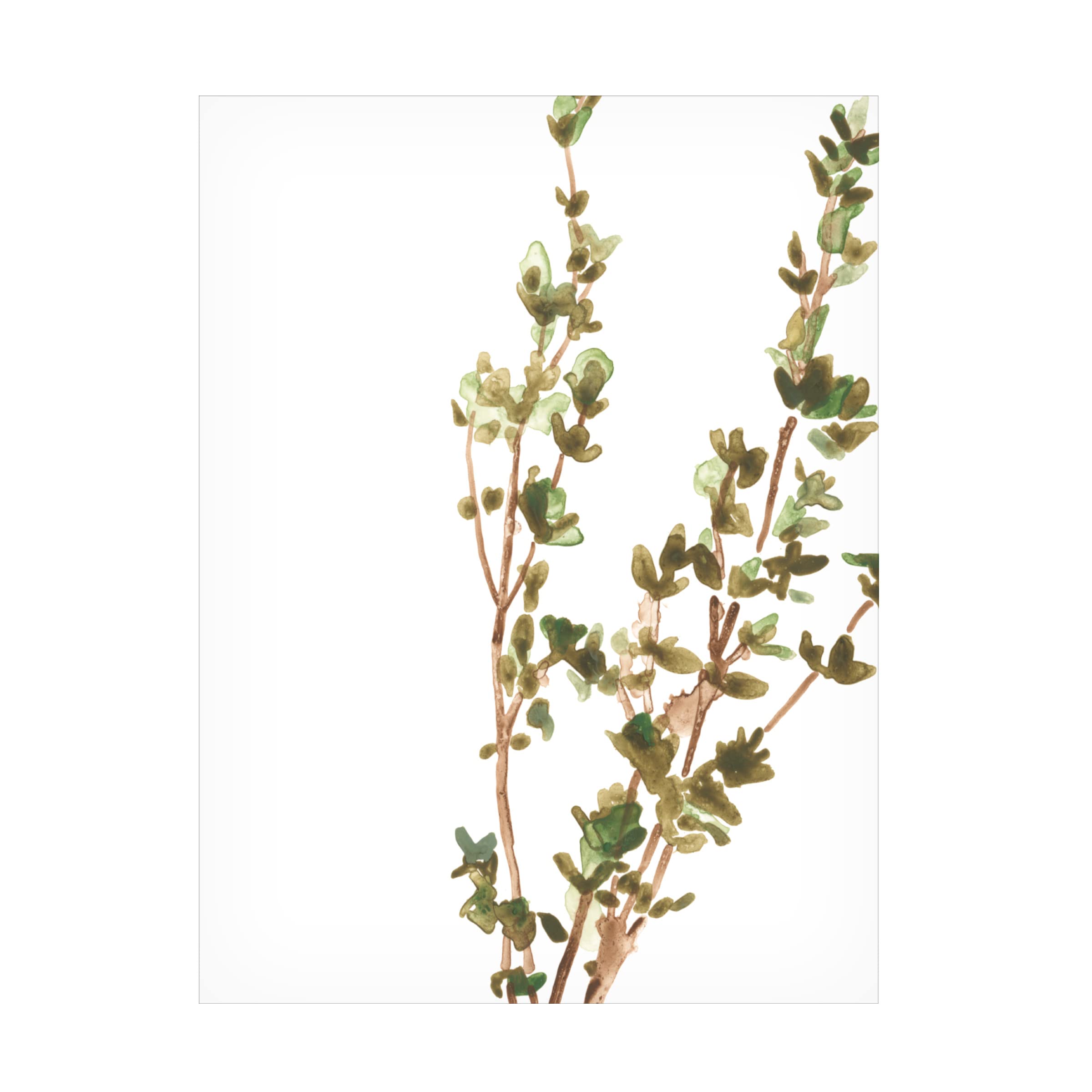 Trademark Fine Art 'Earthtone Herbs II' Canvas Wall Art Print by June Erica Vess - Nature Inspired Botanical Decor for Living Room, Bedroom & Office