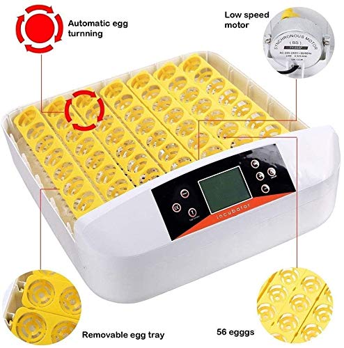 56 Egg Digital Mini Fully Automatic Poultry Egg Incubator - Hatcher for Chicken, Duck, Goose & Bird Eggs with Auto Turning | Perfect for Home Farming, Backyard Poultry & Small Scale Hatching