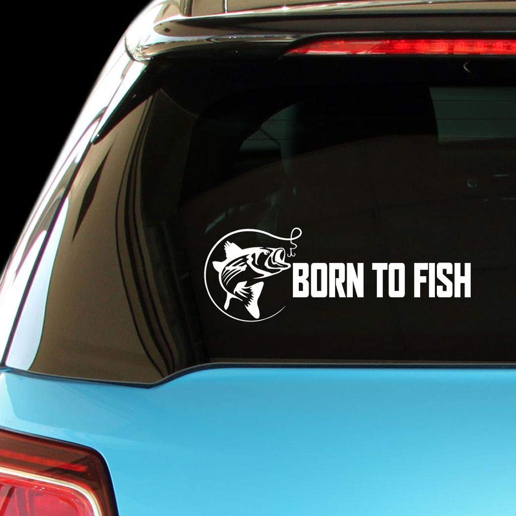 Born to Fish Decal - Premium Vinyl Sticker for Car, Laptop, Wall - Perfect for Anglers & Fishing Enthusiasts | Great Gift for Fishermen | Waterproof & Durable for Outdoor Use