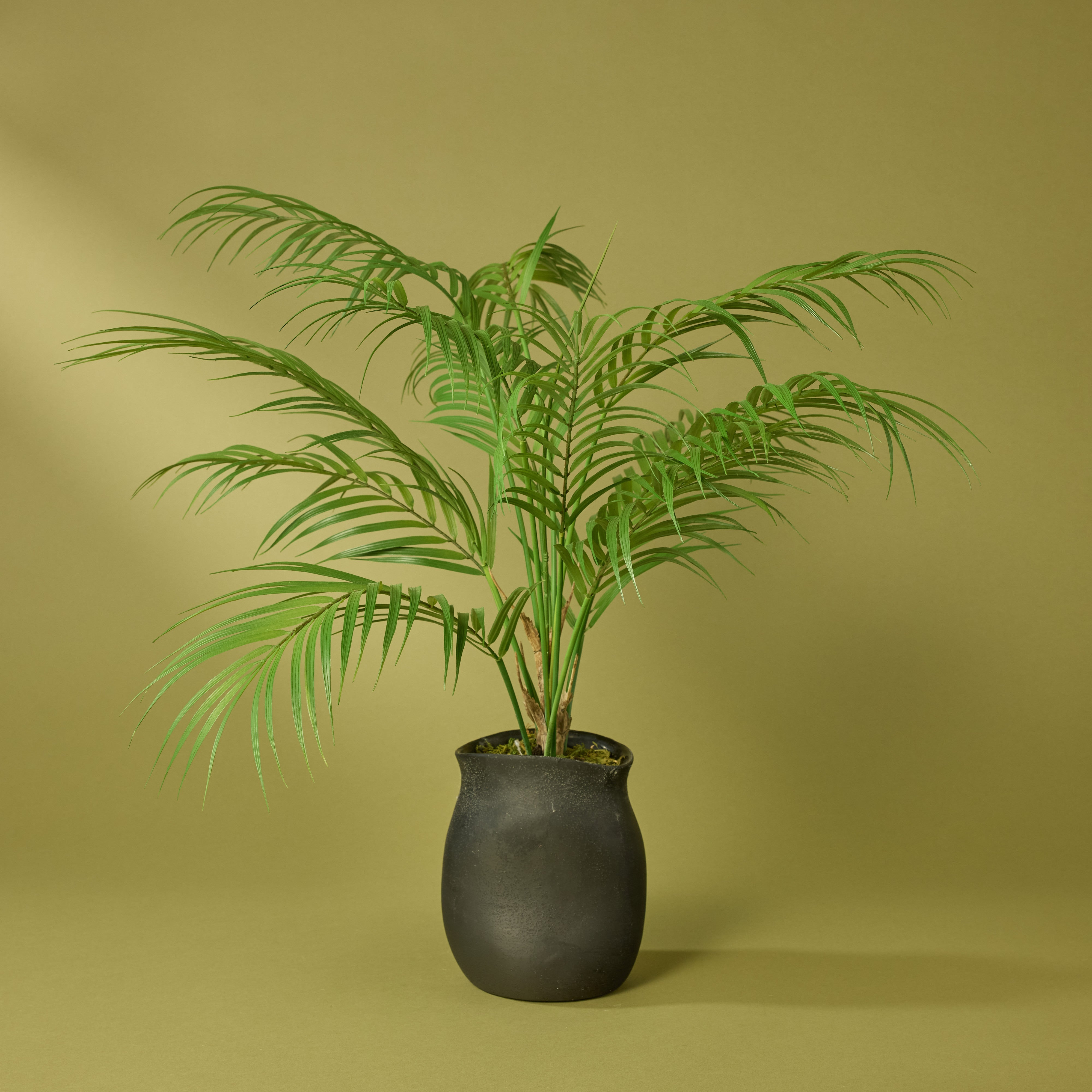 Artificial Phoenix Palm Plant in Black Maliah Pot - 64cm Tall Indoor Fake Tree for Home Decor, Office, Living Room, and Bedroom