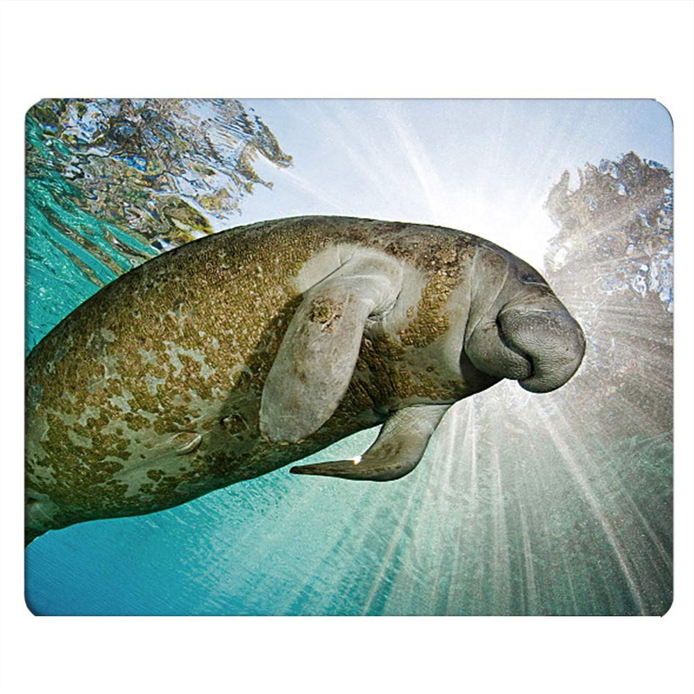 Nicokee Manatee Gaming Mouse Pad - Cute Smiling Manatee Design, Non-Slip Rubber Base, 9.5